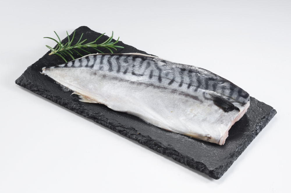 薄鹽鯖魚