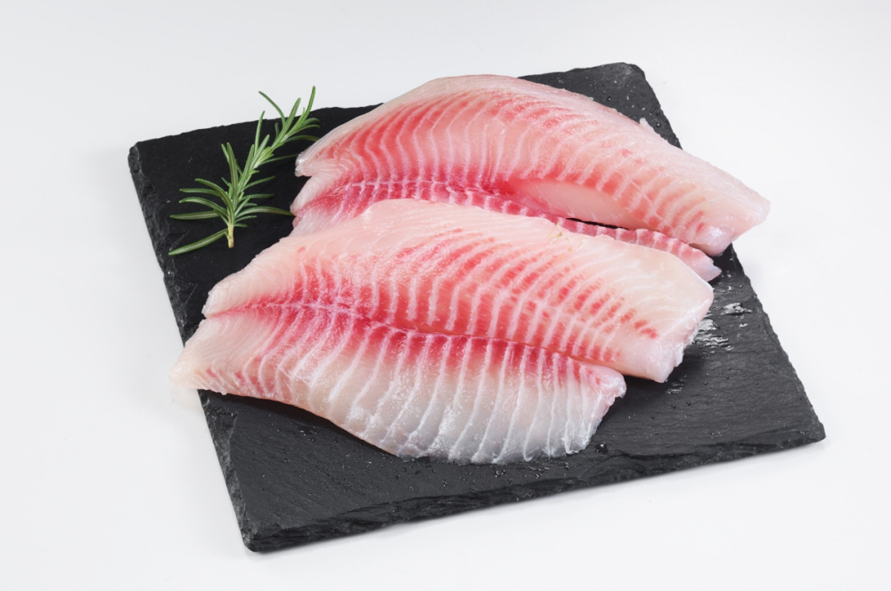 鯛魚